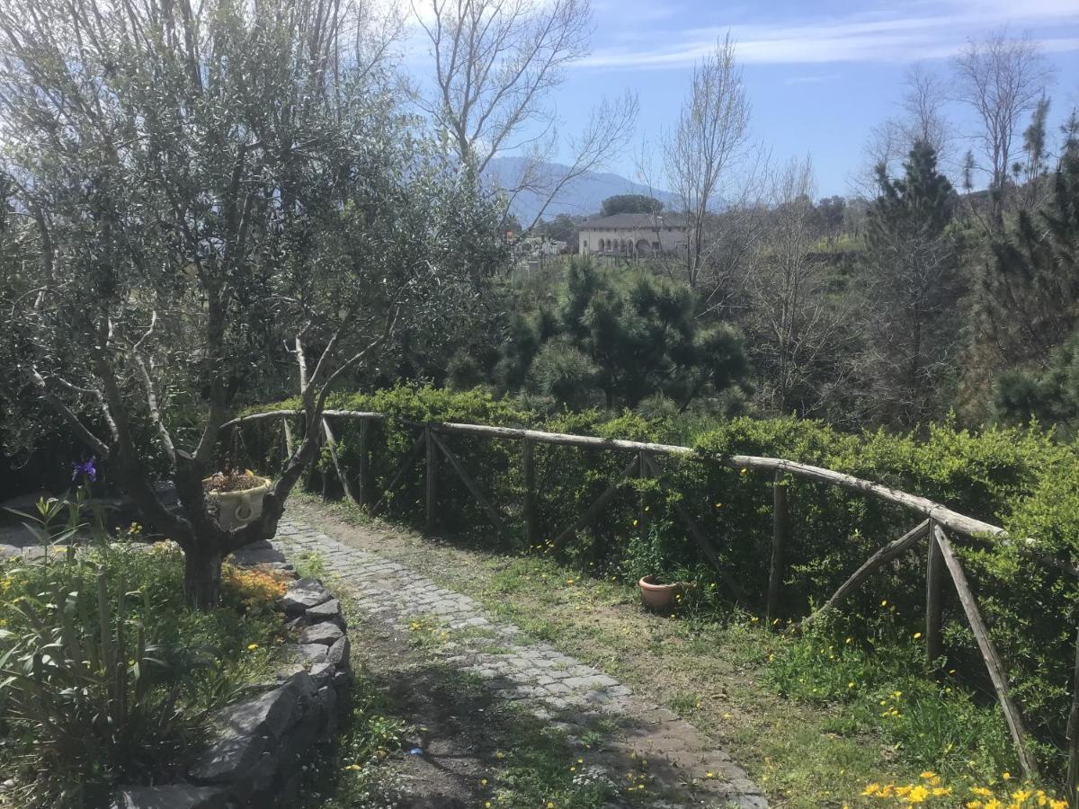 Tenuta Terradifuoco Terzigno Екстер'єр фото